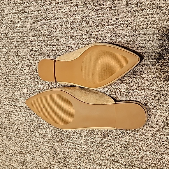 Never worn brand new Steve Maddens - Picture 4 of 4